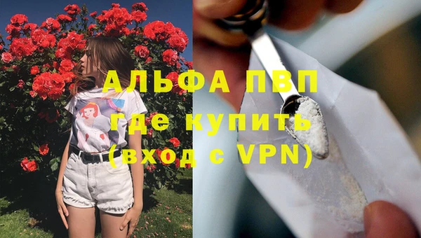 прущие крисы Балахна