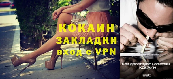 гашик Арсеньев