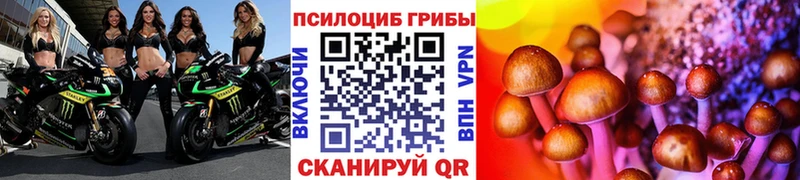 Псилоцибиновые грибы Psilocybine cubensis omg Калуга где можно купить