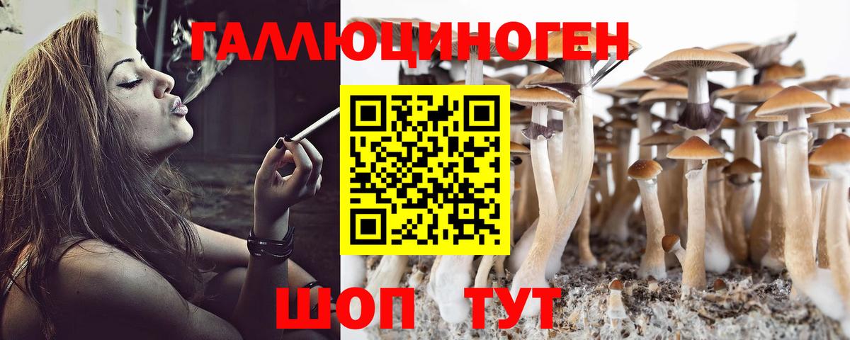 Псилоцибиновые грибы мицелий Калуга